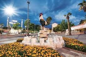 DENİZLİ karot hizmetleri